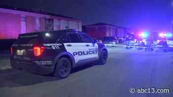 Houston law enforcement working to lower crime as violence among teenagers increases - KTRK-TV