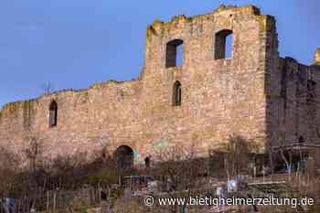 Internetseite hatte Bauwerk Untermberg zugesprochen: Die Ruine gehört zu Sachsenheim - Bietigheimer Zeitung