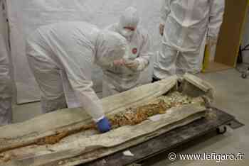 Découvert à Arras, le rare sarcophage du Bas-Empire romain livre ses premiers secrets - Le Figaro
