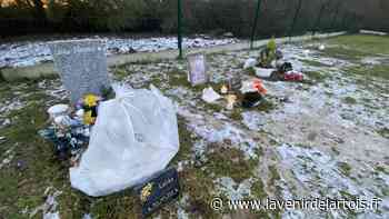 précédent Entre Arras et Douai, 18 animaux reposent dans ce cimetière - L'Avenir de l'Artois