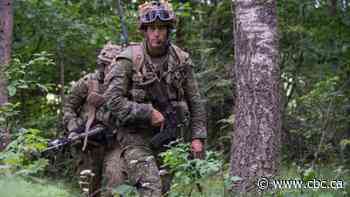Military eyes adaptive camouflage, self-repairing clothing for future troops