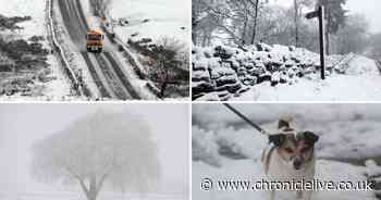Wintry scenes as North East warned to expect up to 20cm of snow