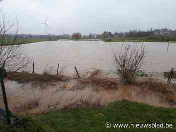 Hoge waterstanden in Pajottenland