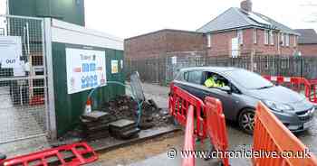 Shotgun drama as 'hero' worker tackles gun suspect on building site