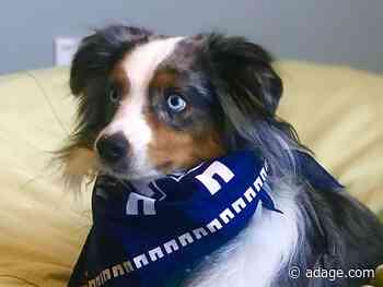 How humor drives marketing for a cloud data services company