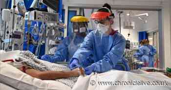 Covid patients in North East hospitals at highest ever level