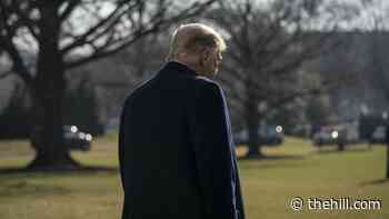 House staffers urge senators to convict Trump in impeachment trial