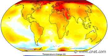 Microsoft cuts carbon emissions 6% in fight against climate change     - CNET