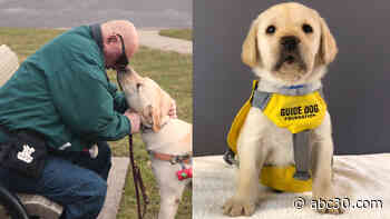 The Guide Dog Foundation celebrates 75 years helping the visually impaired free of charge