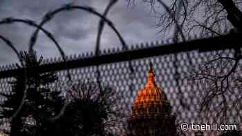 Capitol police chief calls for permanent fencing, back-up security