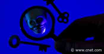 Identity thieves raked in billions with your data, even as breaches fell in 2020     - CNET