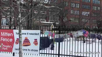 Take a pair, leave a pair: The "Mitten Fence" at Buffalo's People's Park is helping keep the Queen City warm
