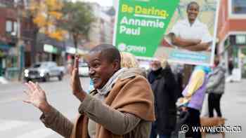 New Green Party Leader Annamie Paul will run for an Ontario seat