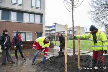 Ook dit jaar moeten er weer Essen in Utrecht het veld ruimen vanwege ziekte - De Utrechtse Internet Courant