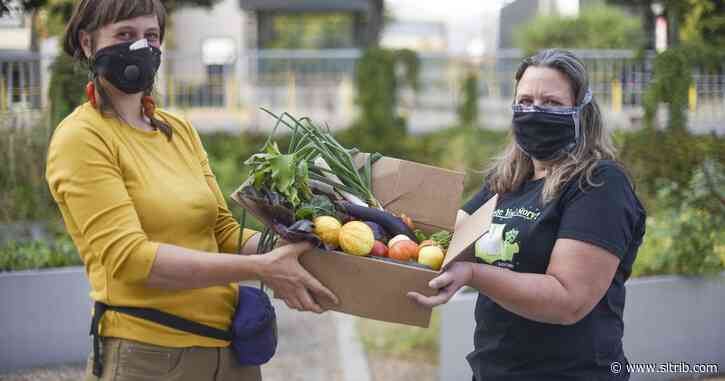 SLC residents have a few more days to apply to join the library’s community garden