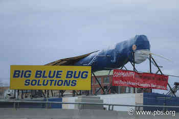 Creator of Rhode Island’s beloved Big Blue Bug landmark dies at 88 - PBS NewsHour