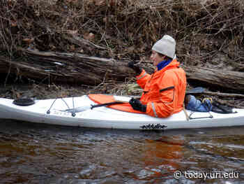 URI scientists investigate distribution of muskrats, beavers, otters in Rhode Island - URI Today