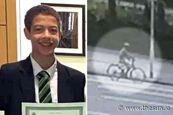 Man jailed after stealing and attempting to pawn dead Belfast teen Noah Donohoe’s laptop during missing p - The Irish Sun