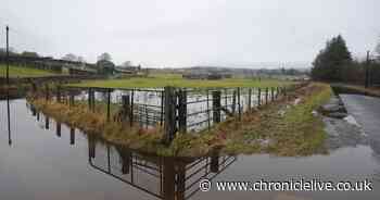 Flood alerts as heavy deluge of rain expected in the North East