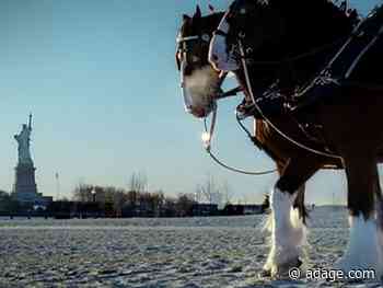Budweiser’s greatest Super Bowl commercial hits