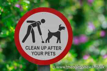 Crackdown launched on owners who don't clean up after their dog