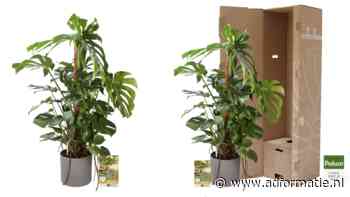 Powerplanten van Pokon appen als ze water nodig hebben