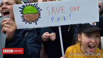 Climate change: Biggest global poll supports 'global emergency'