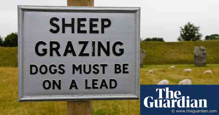 Dog attacks on livestock increased in lockdown, say farmers