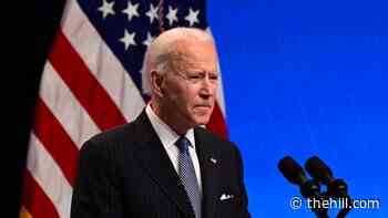 ACLU presses Biden to deliver on immigration with new ads