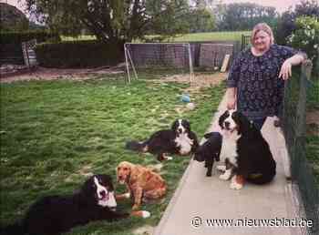 Cindy kan nog net vermijden dat Aiko uit haar tuin wordt gestolen: “Hij had hem al vast bij de oren”