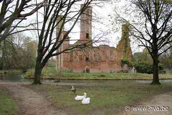 Minister zet eerste stap naar bescherming kasteelruïne Ter Elst - Gazet van Antwerpen