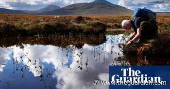 Controversy over new UK regulation to protect peatland
