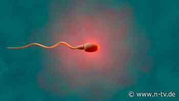 "Geringere Qualität": Studie: Covid-19 könnte Spermien schädigen