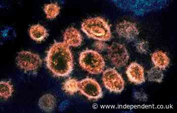 ‘Variants arise when infections run wild’: Expert blames countries’ poor Covid response for new mutations