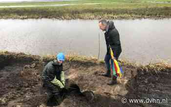 Waterschap Hunze en Aa's op zoek naar bever langs de Hunze - Dagblad van het Noorden