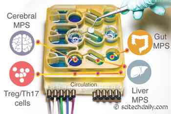Our Gut-Brain Connection Revealed by “Organs-on-a-Chip” System