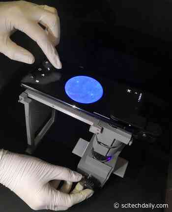 Smartphone-Based COVID-19 Test Developed That Delivers Results in 10 Minutes