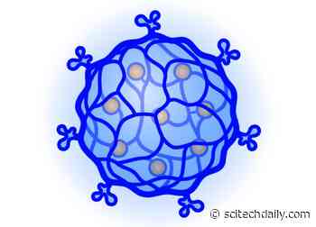DNA-Based Nanogel for Targeted Chemotherapy
