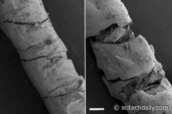 Engineers Create Tiny Threads That Sense How and When You Move in Real-Time