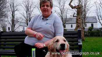 Ailing Max saved thanks to canine blood donation