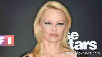 Pamela Anderson's marriage to Dan Hayhurst began as an 'affair,' his ex claims