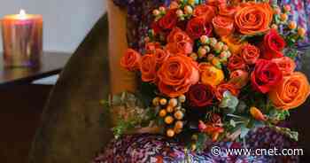 A sweet deal: Get a free premium chocolate bar with your Valentine's Day flowers     - CNET