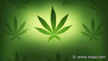 Medical cannabis dispensary permits announced, patient registration available next week - WSAZ