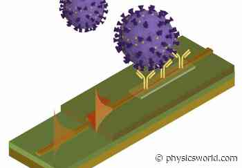 Nanophotonic biosensor tests for COVID-19, hot topics in medical physics – Physics World - Medical Physics Web