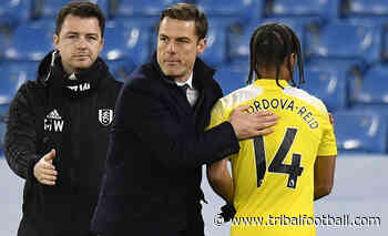 Kevin McDonald offered coaching position at Fulham - Tribal Football