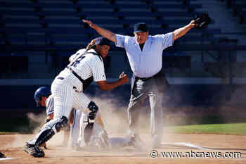 Trump decimated the ranks of America's 'umpires.' We need to hire them back.