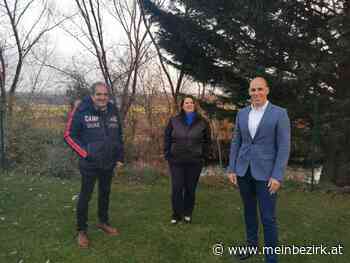 Neunkirchens FPÖ will 2021 mit fünf Themen punkten - Neunkirchen - meinbezirk.at