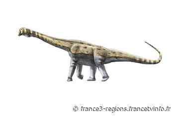 Velaux : découverte d'un nouveau dinosaure, le Géant de la Garrigue - France 3 Régions