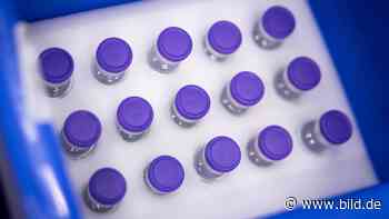 Corona-Umfrage: Deutsche kritisieren Impf-Management der Regierung - BILD