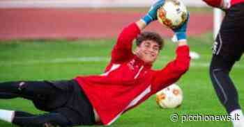 Serie C, si dividono le strade di Matelica e Puddu: il giovane portiere fa ritorno all'Angolana - Picchio News